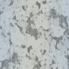 Bloom-340073