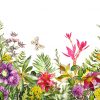 Seamless border with tropical plants - flowers, leaves. exotic