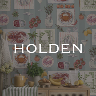 HOLDEN DECOR LIMITED