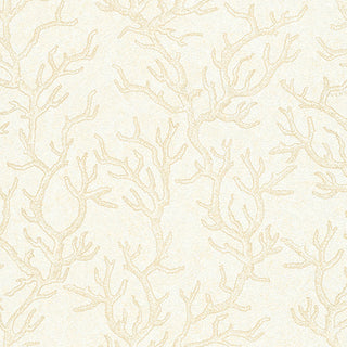 Versace III 34497-1