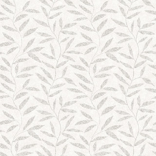 Fiona Home Paper 100401
