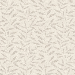 Fiona Home Paper 100402