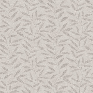 Fiona Home Paper 100403