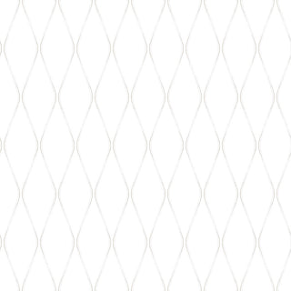 Fiona Home Paper 100501