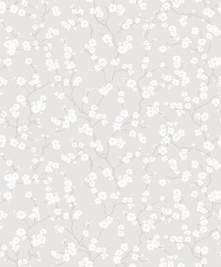 Fiona Home Paper 100601