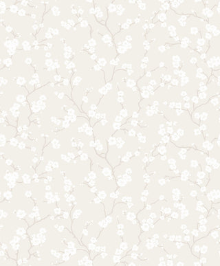 Fiona Home Paper 100602