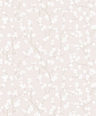 Fiona Home Paper 100603