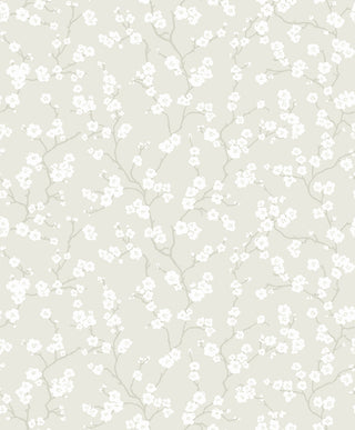 Fiona Home Paper 100604