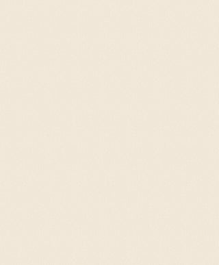 Fiona Home Paper 100903