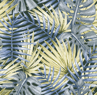 Caribbean 1051-3