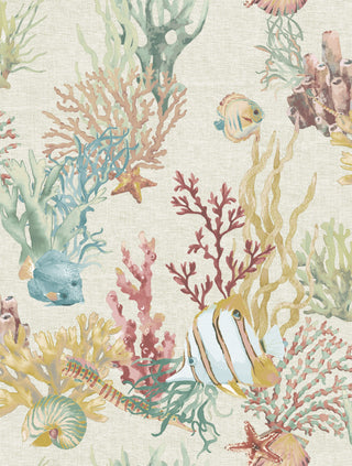 Caribbean 1052-1