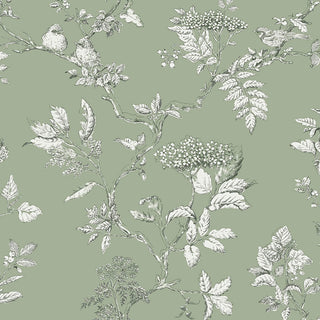 Laura Ashley vol. 1 113348