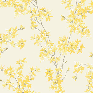Laura Ashley vol. 1 113350