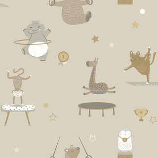 Dream Catcher 13240