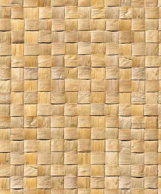 Struktura 2545739