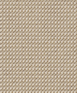 Struktura 2545752