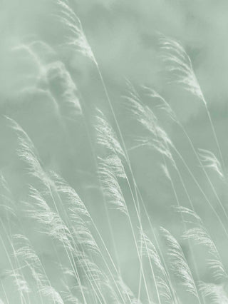 Waterfront 300901