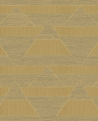 Artifact 312412