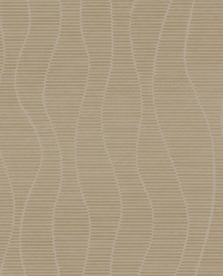 Artifact 312420