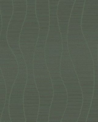 Artifact 312424