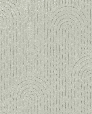 Artifact 312431