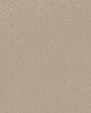 Artifact 312432