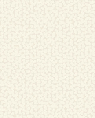 Artifact 312440
