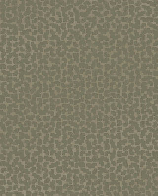 Artifact 312443