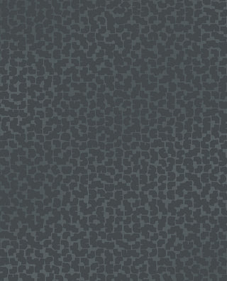 Artifact 312444