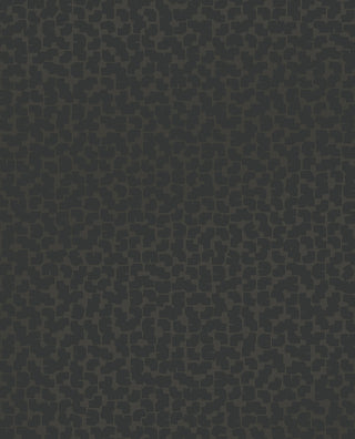 Artifact 312445