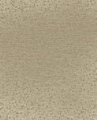 Artifact 312452