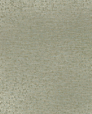 Artifact 312454