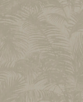Oasis 317301