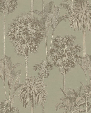Oasis 317324