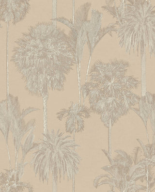 Oasis 317325