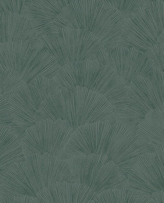 Oasis 317334