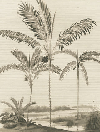Oasis 317407