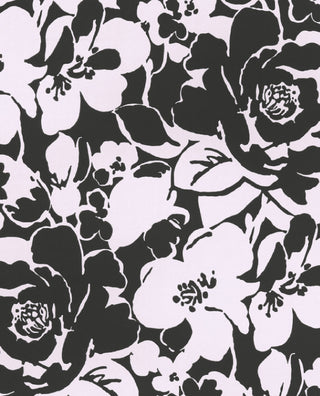 Black & Light 356002