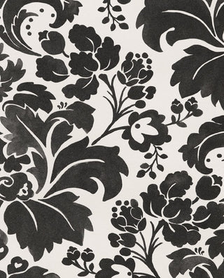 Black & Light 356102