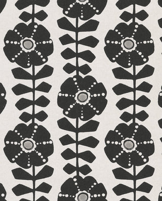Black & Light 356150