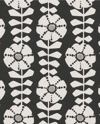 Black & Light 356151