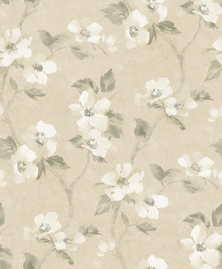 Cottage Garden 3584