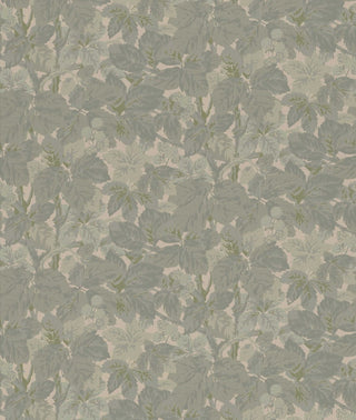 Modern Classics II 359-55