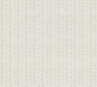 New Walls 37393-1