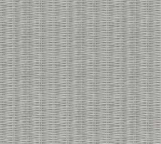 New Walls 37393-2