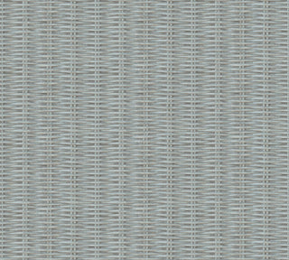 New Walls 37393-3