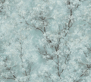 New Walls 37420-3