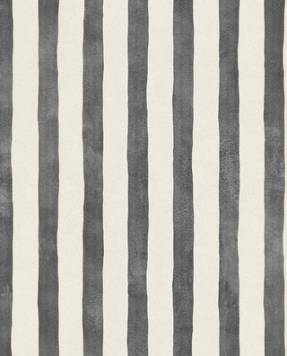 Stripes+ 377051