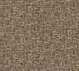 Jungle Chic 37706-1