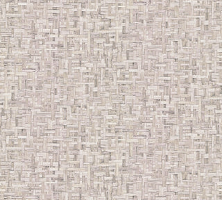 Jungle Chic 37706-6